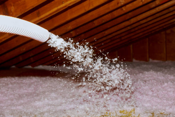 Best Residential Insulation in Todd Creek, CO