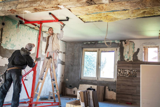 Best Commercial Insulation in Todd Creek, CO