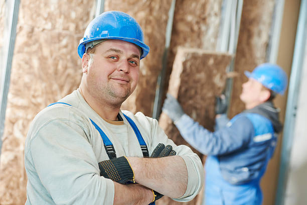 Best Insulation Maintenance and Repair in Todd Creek, CO